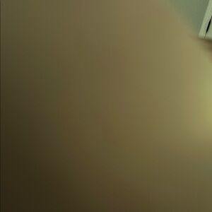 Carly Jean Los Angeles Holland Jean